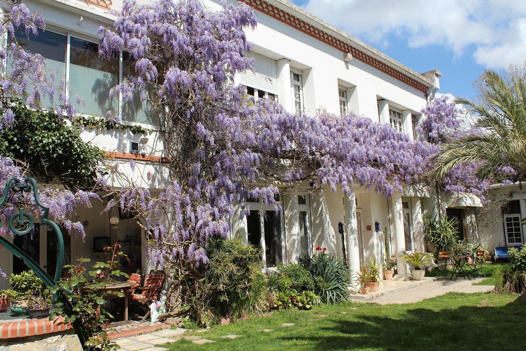 Domaine Saint Nicolas Bed & Breakfast Perpignan Exterior foto